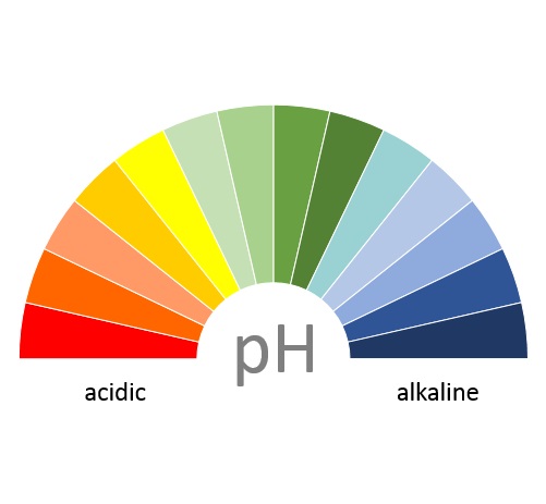 酸性 アルカリ性 中性とは何 Phや水素イオン指数 液性のさまざま 私は何から出来ているのか